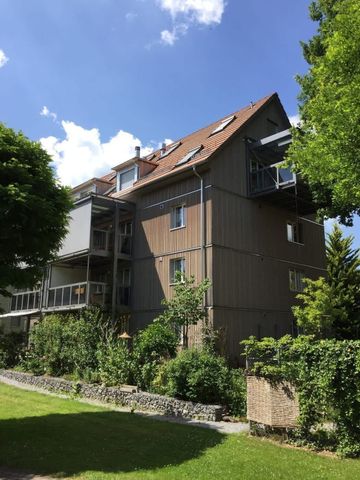 2.5 Zimmer, 52 m², 1. Stock - Photo 5