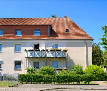 Demnächst frei! 2-Zimmer-Wohnung in Marl Brassert - Foto 1