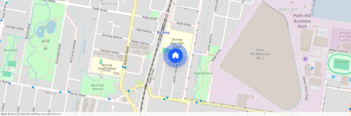 30A Larien Crescent, NSW 2143, Birrong