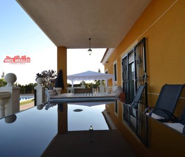 Luxury 5 room Detached House for rent in Perleta, Elche, Valencia - Photo 4