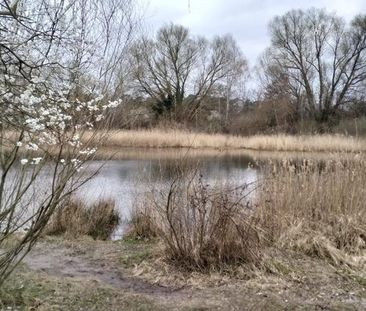 2 er WG Berlin Mahlsdorf sucht 2 neue Bewohner/ innen - Photo 1