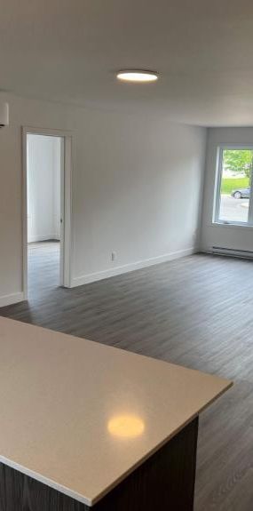 2 CH - 1 SDB - Montréal - $2,050 /mo - Photo 1