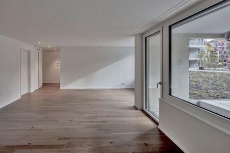 Sihlfeld Zurich - Urban living quality - Photo 2