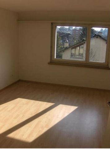 Central apartment for rent in Uster - Photo 2
