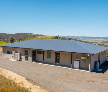 357 Two Sticks Road, Uriarra NSW 2611 - House For Rent | Domain - Photo 1