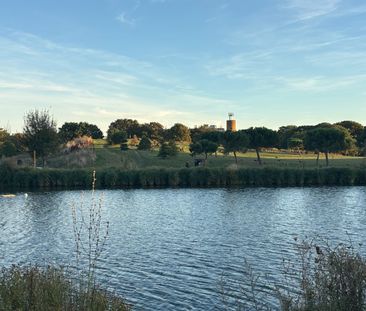 Room in a Shared Flat, John Ruskin Street, SE5 - Photo 6