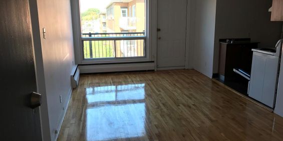 1 CH - 1 SDB - Montréal - $1,200 /mo - Photo 3