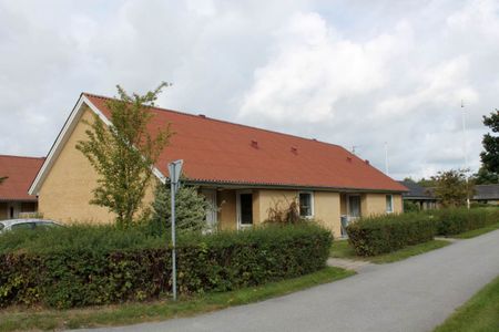 Byrum - Læsø - Foto 5