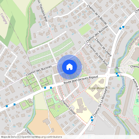 Chemin de l'Armoise 9, 1224 Chêne-Bougeries