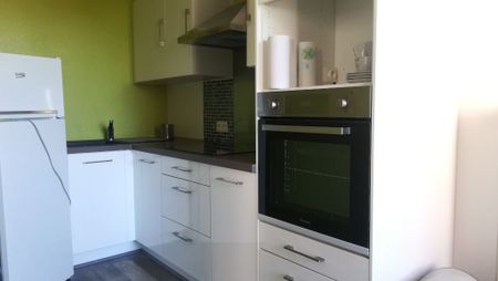 Location Appartement 1 pièce Meublé 36m² DAX 40100 - Photo 3