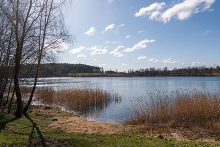 2 pok. Kanarkowa, Gutkowo, zwierzęta mile widziane 45 m² - Zdjęcie 3