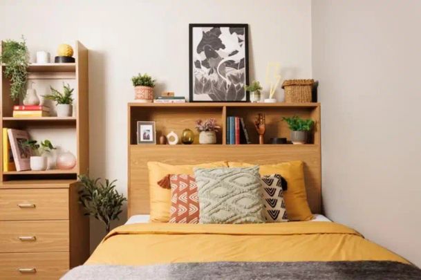 Large Standard Double Studio - Photo 1