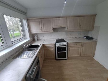 Mill Street, Bridgeton, Glasgow, G40 - Photo 4