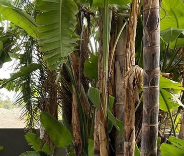 Luxury Semidetached House for rent in Nueva Andalucia, Spain - Photo 3