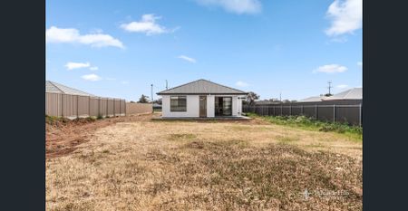 Brand New Luxury Home | Available 24/12/25 - Photo 2