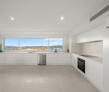 42 Ryan Place, Beacon Hill, NSW 2100 - Photo 4