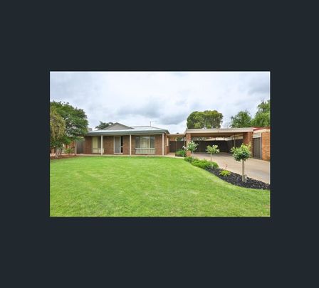 409 Etiwanda Avenue, Mildura, Vic 3500 - Photo 1