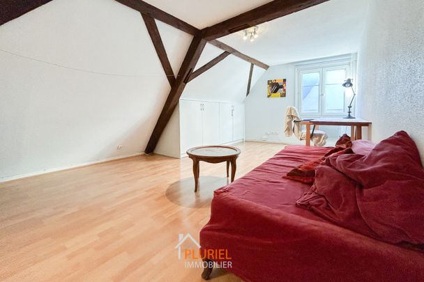 Joli 2 pièces 37m² meublé à la Krutenau - Photo 1