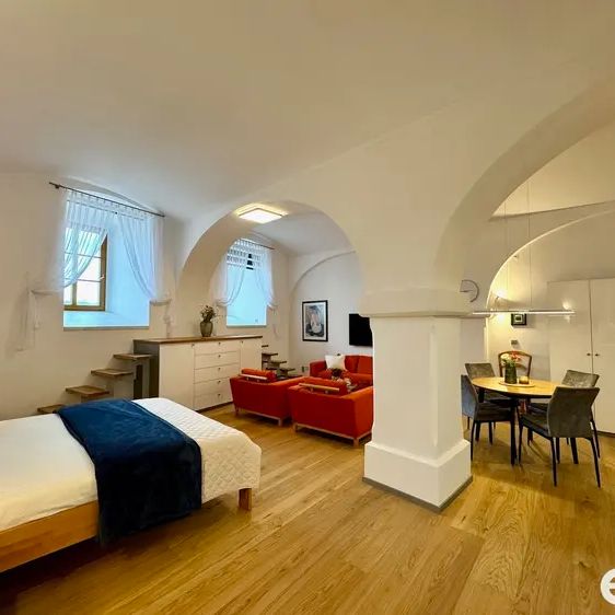 Pronájem bytu 1+kk - nadstandartně zařízený - Photo 1