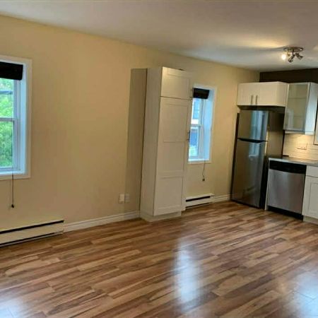 *Disponible* Appartement 3 ½ à louer à St-Sauveur semi-meublé - Photo 3