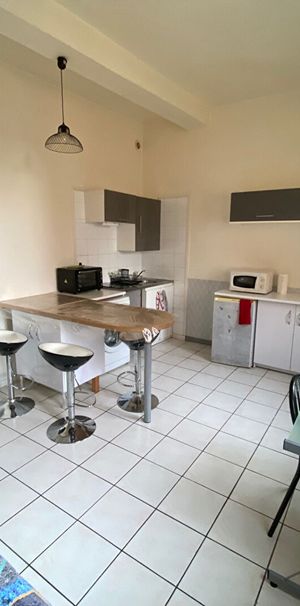 Location Appartement 1 pièce 23m² - Photo 1