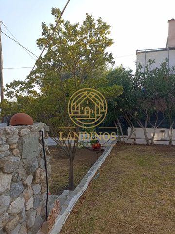 Μονοκατοικία για ενοικίαση Μαγούλα (Ερέτρια) - Photo 3