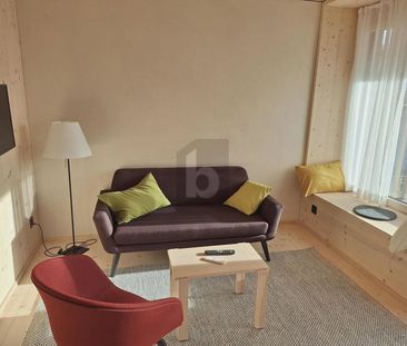 2.5 Zimmer, 44 m² - Foto 1