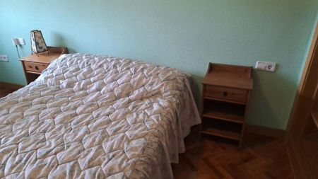 Piso de alquiler en Paseo de San Vicente, 46, La Platina- Hospital - Campus - Photo 5