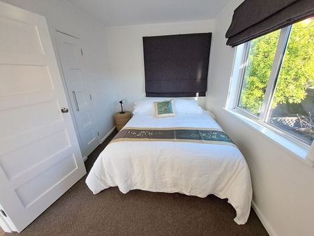 Fully furnished 3 bedroom plus sleepout home - Photo 5