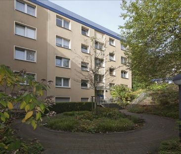 Zentral gelegen - modernisiert und bald einzugsbereit - Photo 3