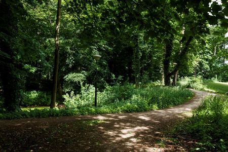 Appartement te huur: Burgemeester van Lennepweg 187 2101 RE Heemstede - Photo 5