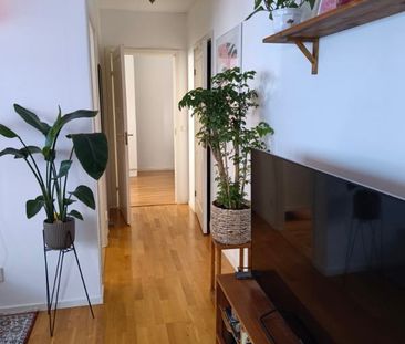 Målaregatan, Lidköping - Foto 6