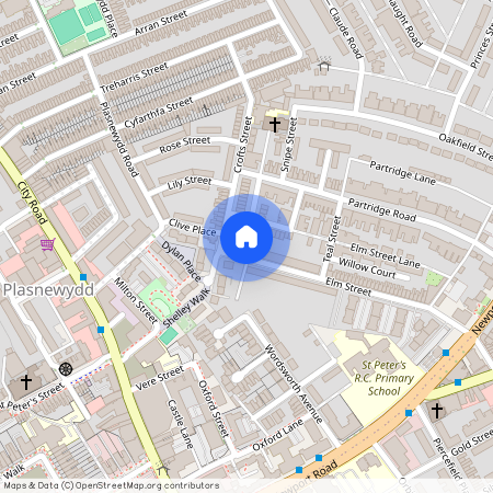 Elm Street, CF24 3QS, Roath