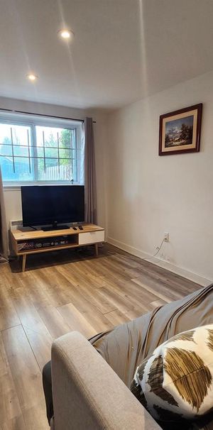 Appartement Montréal (Mercier/Hochelaga-Maisonneuve) À Louer - Photo 1