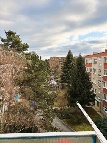 Pronájem 3+1 Horní, Brno - Štýřice - Photo 5