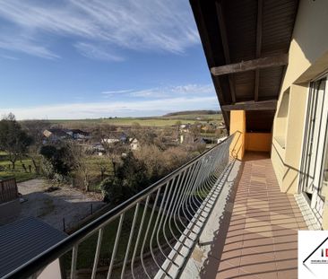 Location Appartement 4 pièces 68m² IMLING 57400 - Photo 6