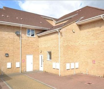 Wood Avens Way, Wymondham, NR18 - Photo 1