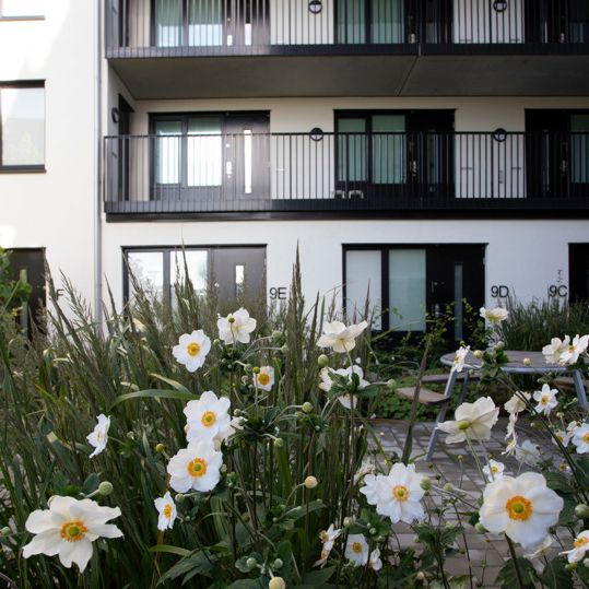 Anna T Nilssons gata 2 A, lgh 1408, Västra Sorgenfri - Foto 1