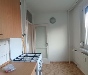 Kiadó felújított panel lakás - Székesfehérvár - Photo 3