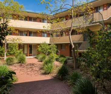 Nature Loving Urban Retreat - Photo 3