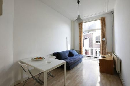 Te huur: Appartement 2e Sweelinckstraat in Den Haag - Photo 3