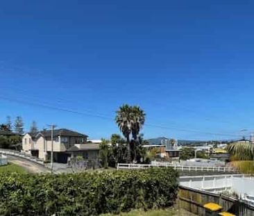 Newly renovated two bedroom home with sea views in Milford! - Photo 4