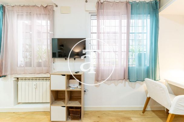 Monthly rental studio with 1 bedroom and 1 bathroom in Centro - Palacio - Photo 1