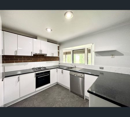 412 Colley Street, Lavington, NSW 2641 - Photo 3