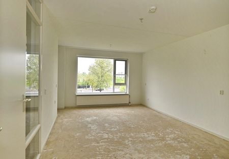 Saxenstate 9 - Foto 3