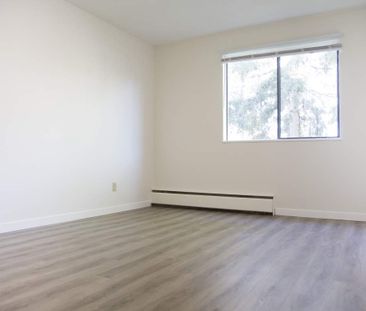 1 Bedroom - Renovated - Photo 6