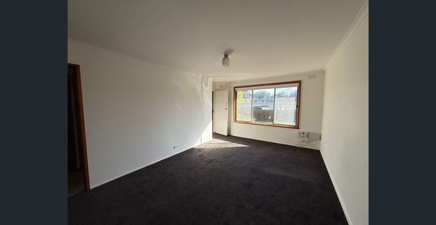 A Compact Little Gem - Photo 1