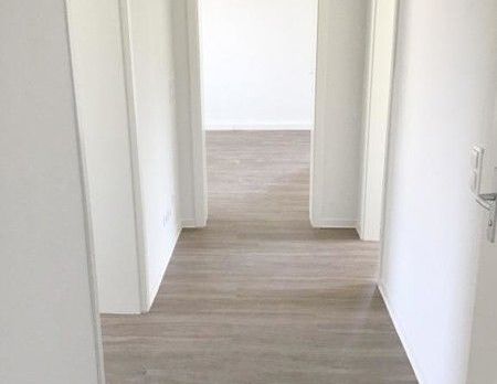 Toptipp: charmante 3-Raum-Wohnung mit Balkon in frisch modernisiertem Gebäude! - Photo 1