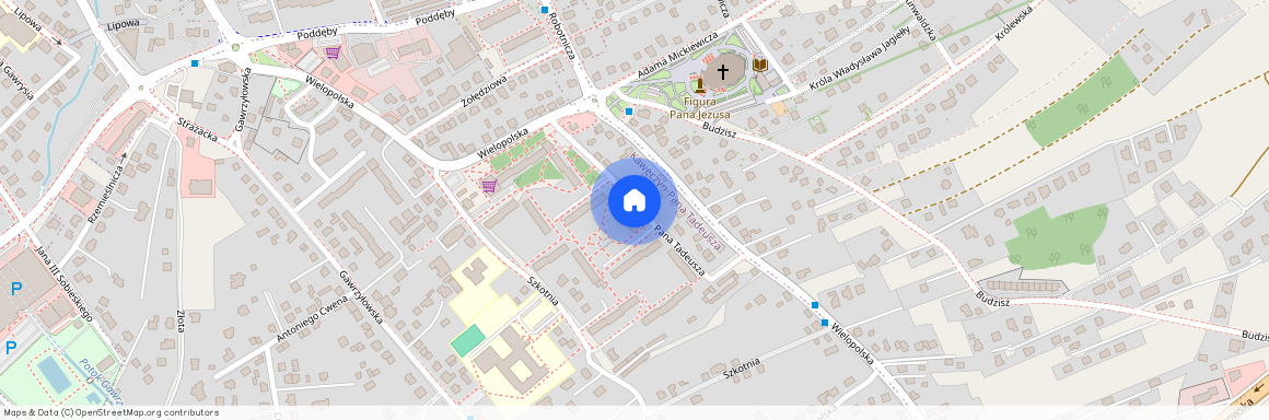 ul. Pana Tadeusza, Dębica, dębicki, podkarpackie