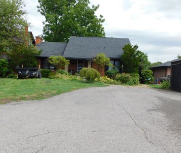 For Lease - 232 Angeline Street Unit# Lower, Kawartha Lakes, Ontario - Photo 2